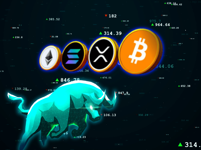 Altcoin bull run