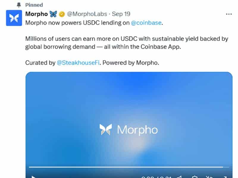 morpho industrial support