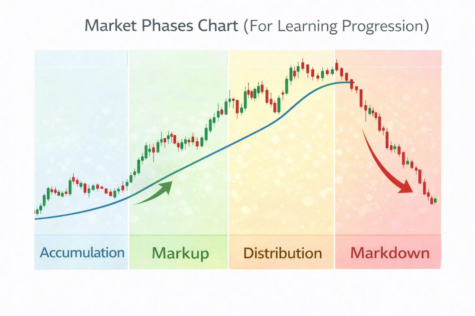 crypto-education-market-phases-chart-beginner-to-advanced